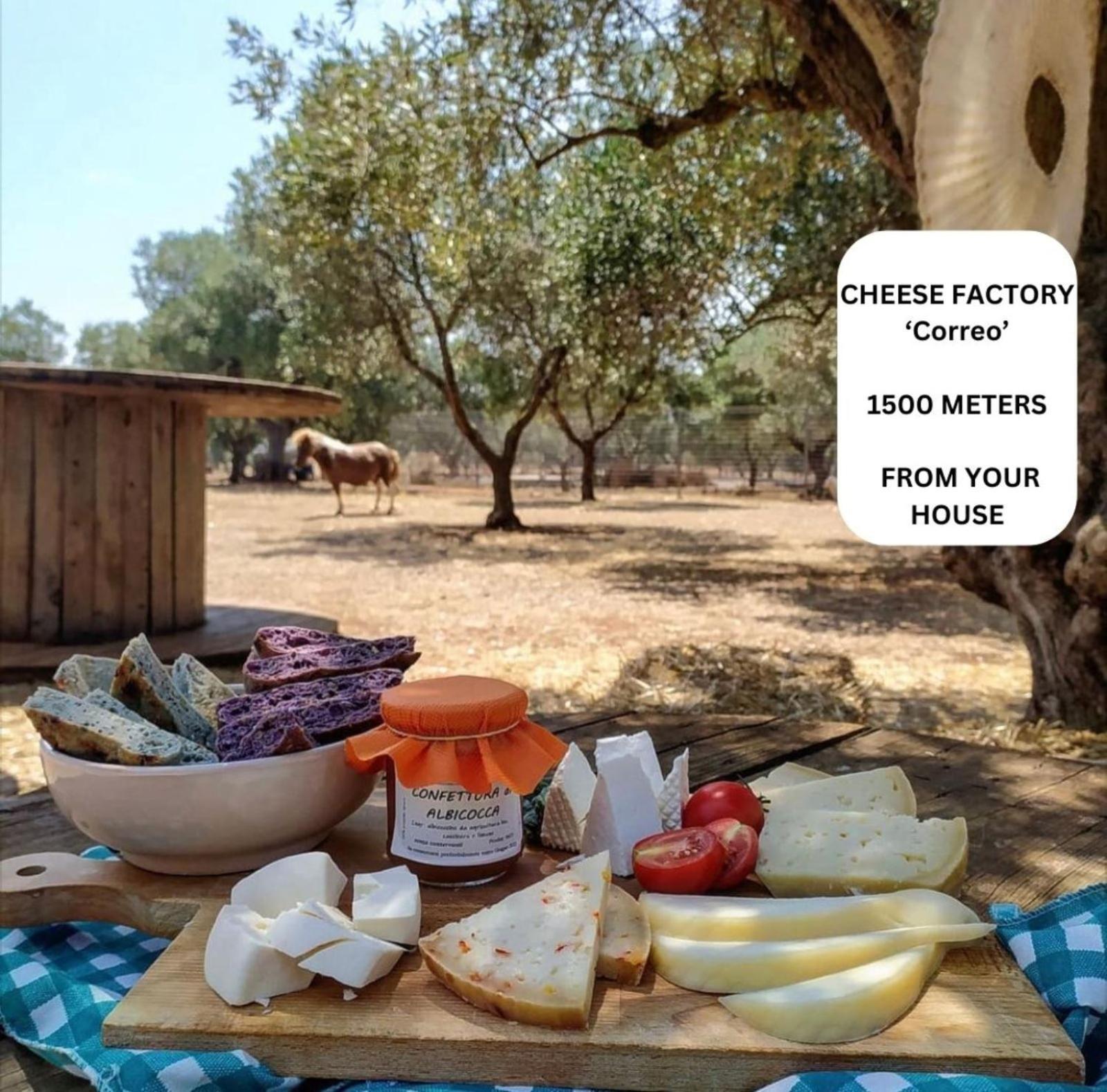 La Corte Della Masseria 산비토데이노르만니 외부 사진