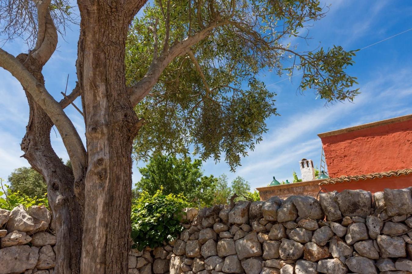 La Corte Della Masseria 산비토데이노르만니 외부 사진